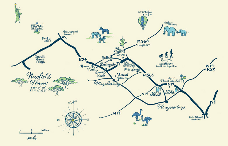 Map for a wedding in South Africa. I never drew ostriches on a map before. I love the navy printing on this one.